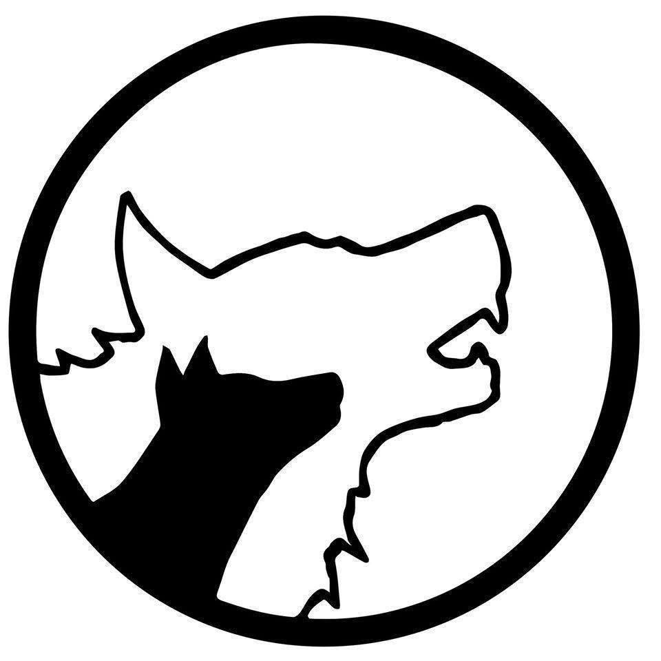 Pôle Animations